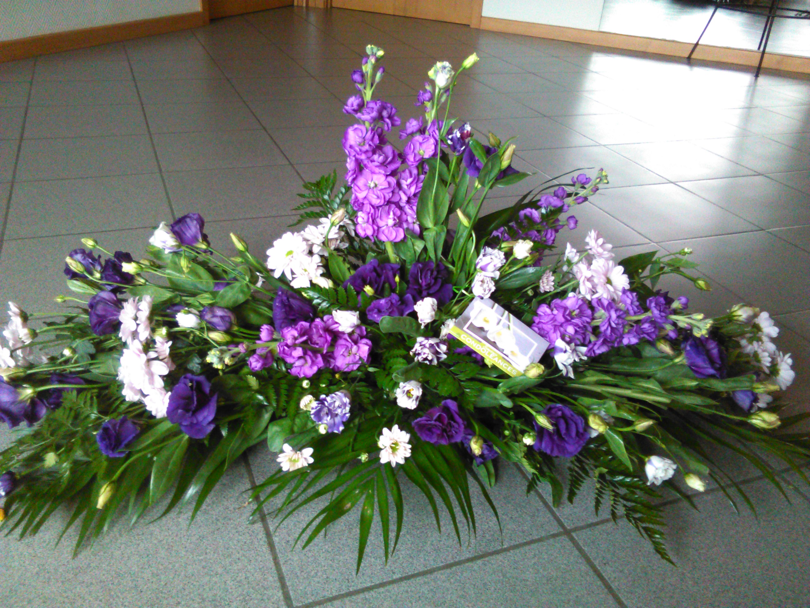 IMG 20160130 120639