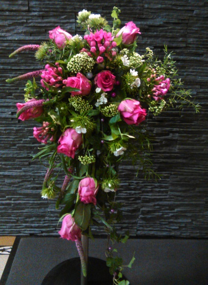 IMG 20150731 074900