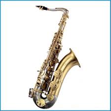 Saxo 2