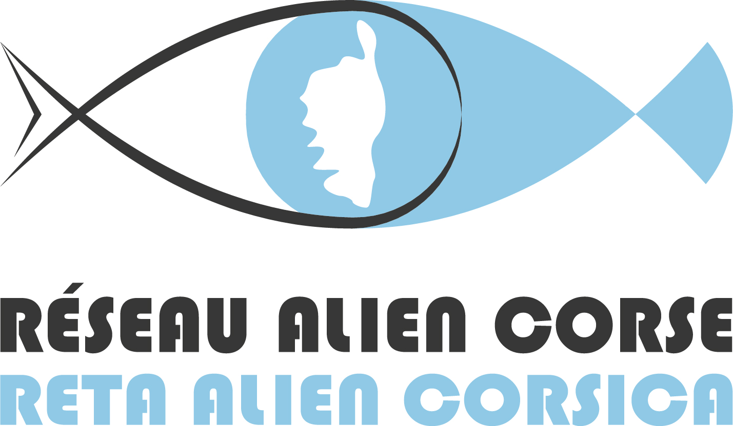 Logo RAC web