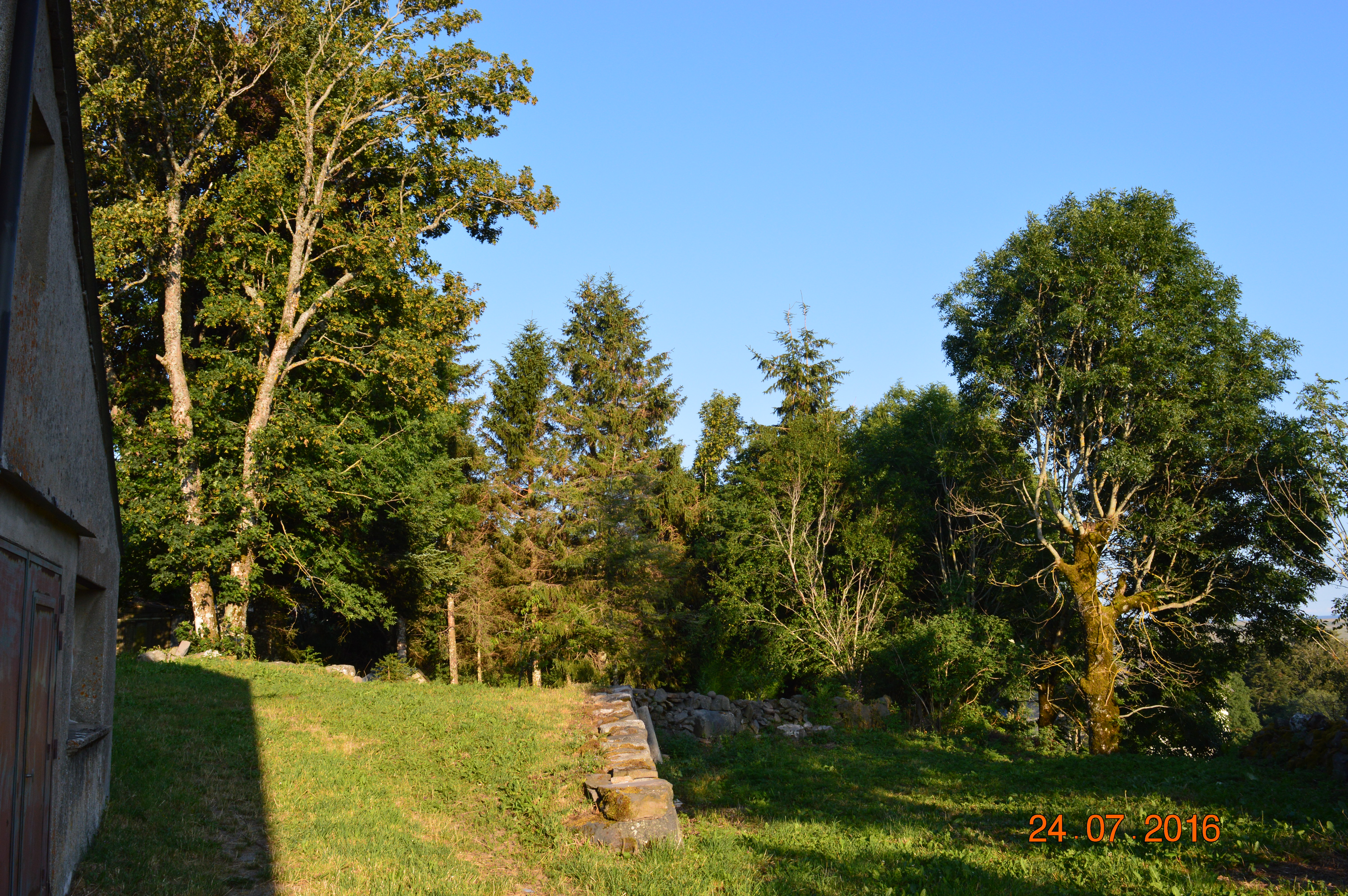 Dsc 0528