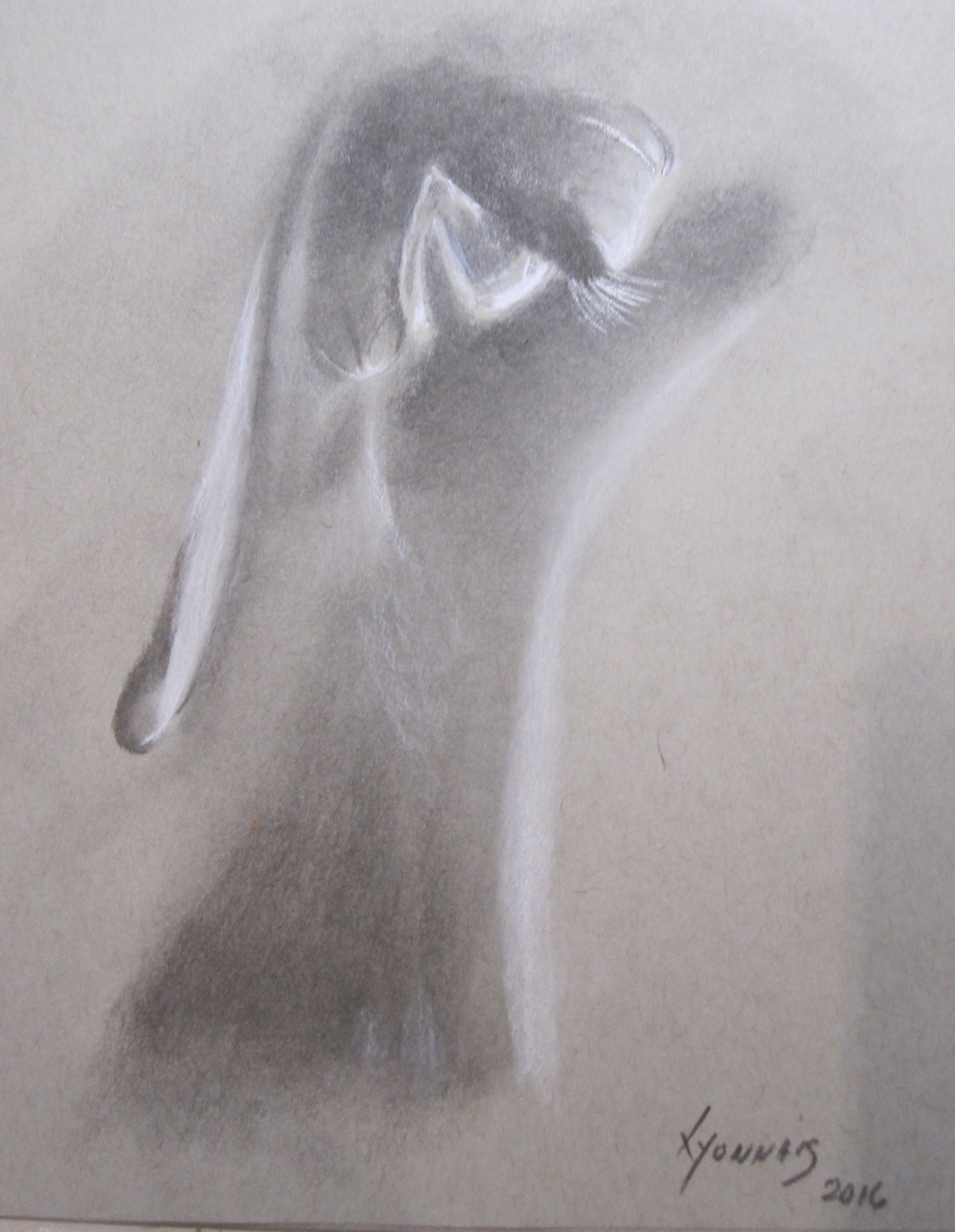 2016 12 16 21 54 31