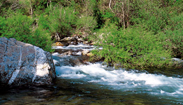 Peche aveyron dourbie