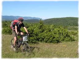 Vtt