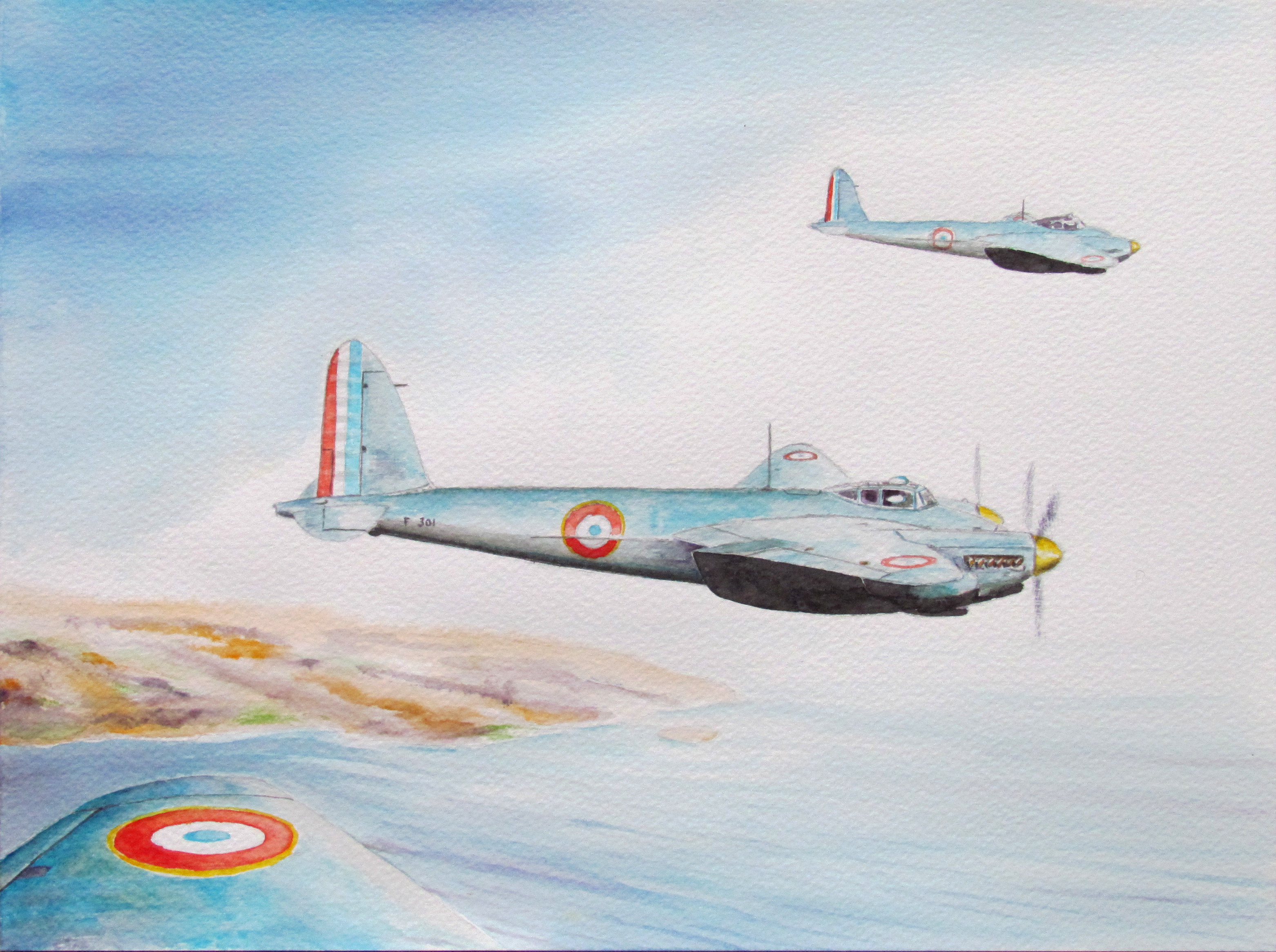 Mosquito pr xvi