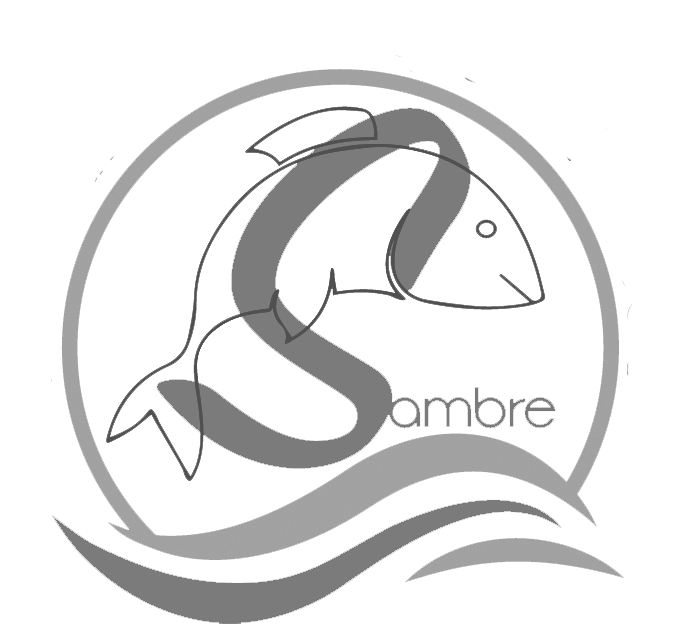 Logo federation sambre copie