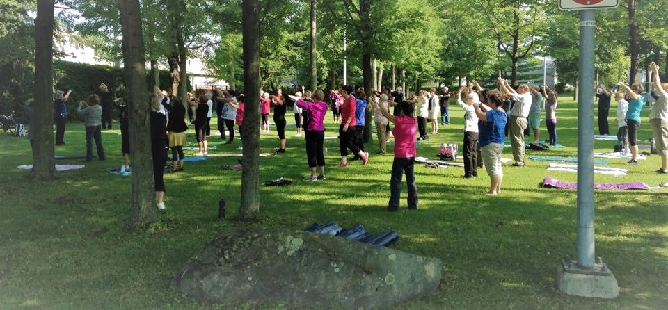 Taichi qigong avec lolita dalpe image aines actifs haute yamaska