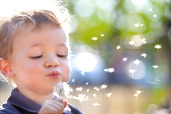 28304 enfant fleur 100