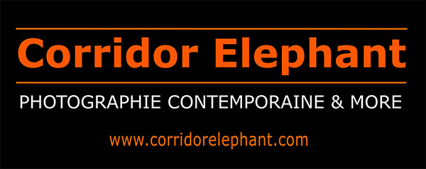 Corridor elephant 600