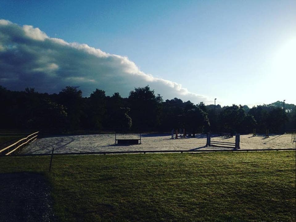 13529141 531350237074682 1744819554779543681 n