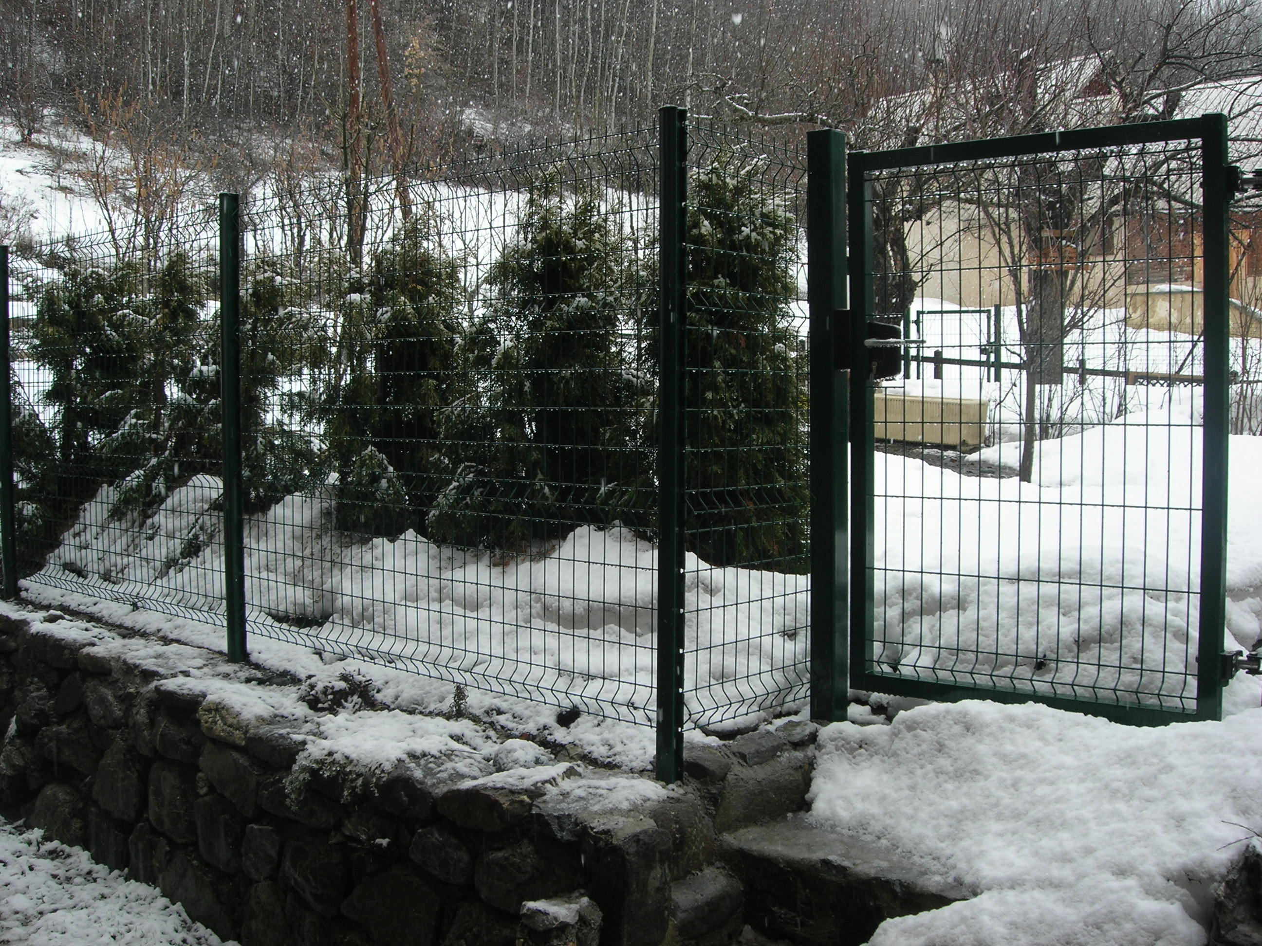 Dscn7425