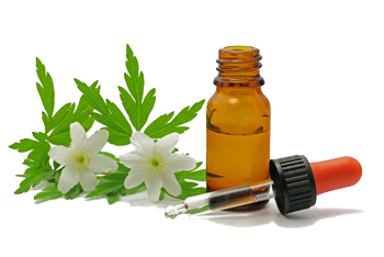 Vente en ligne de Fleurs de Bach