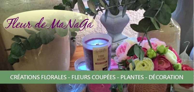 Banniere fleur de managa printemps 2017 2 site