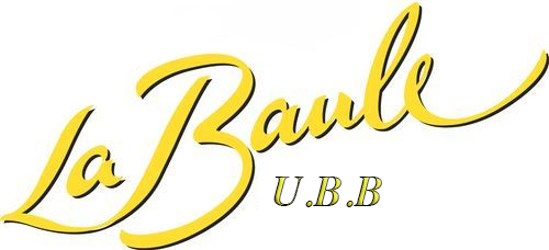 Logo 3