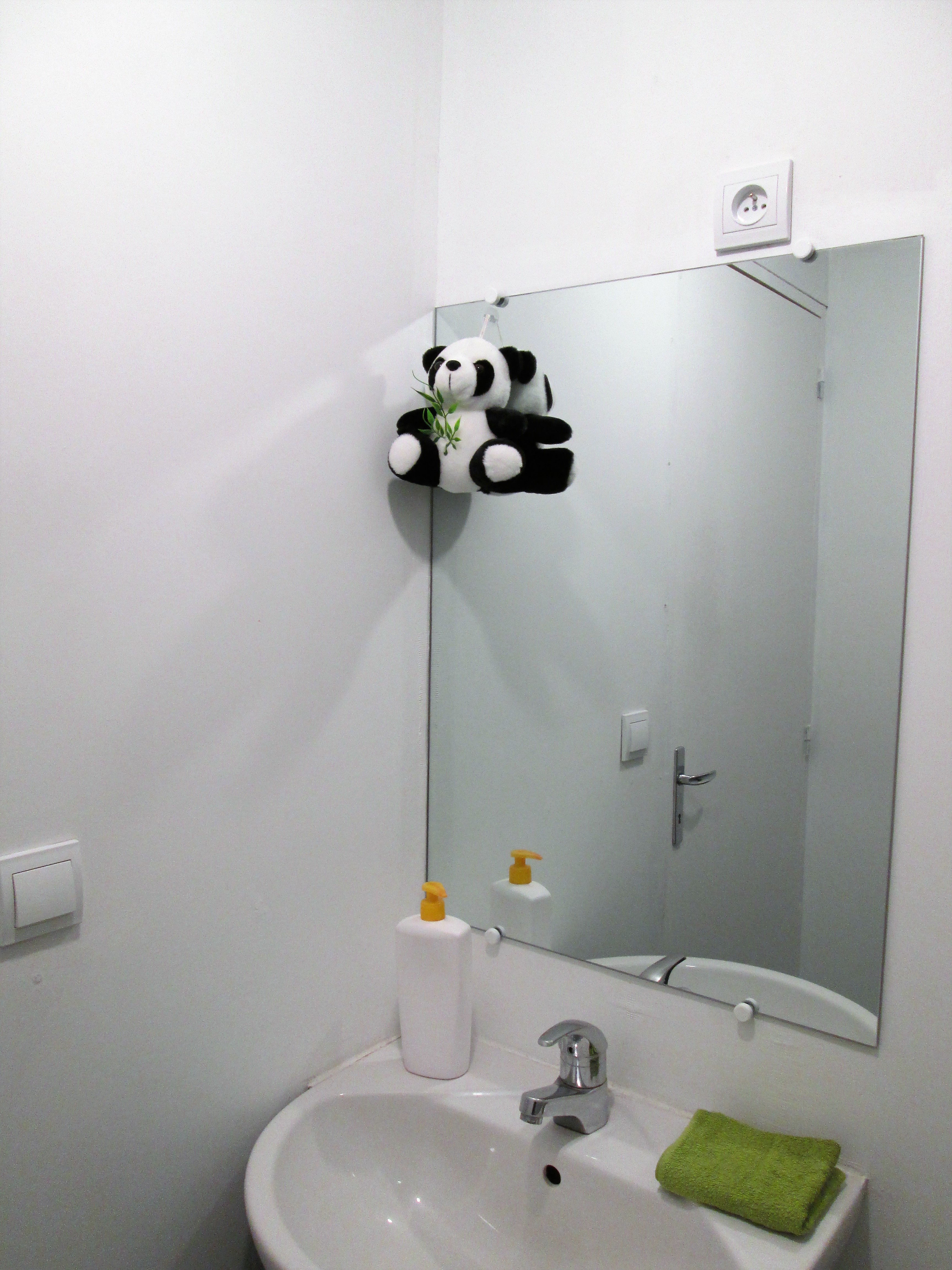Sdb miroir