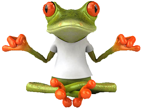 Grenouille 7