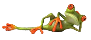 Grenouille 6
