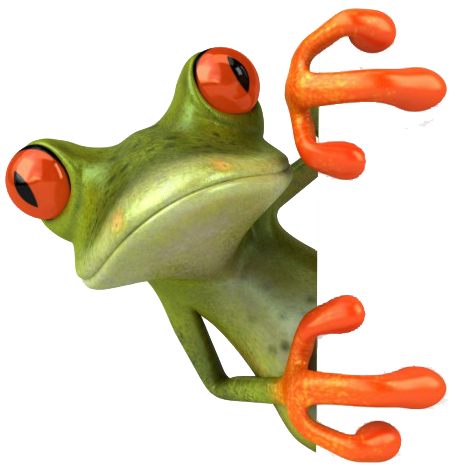Grenouille2 modifie 2