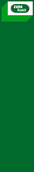 120x600 nl