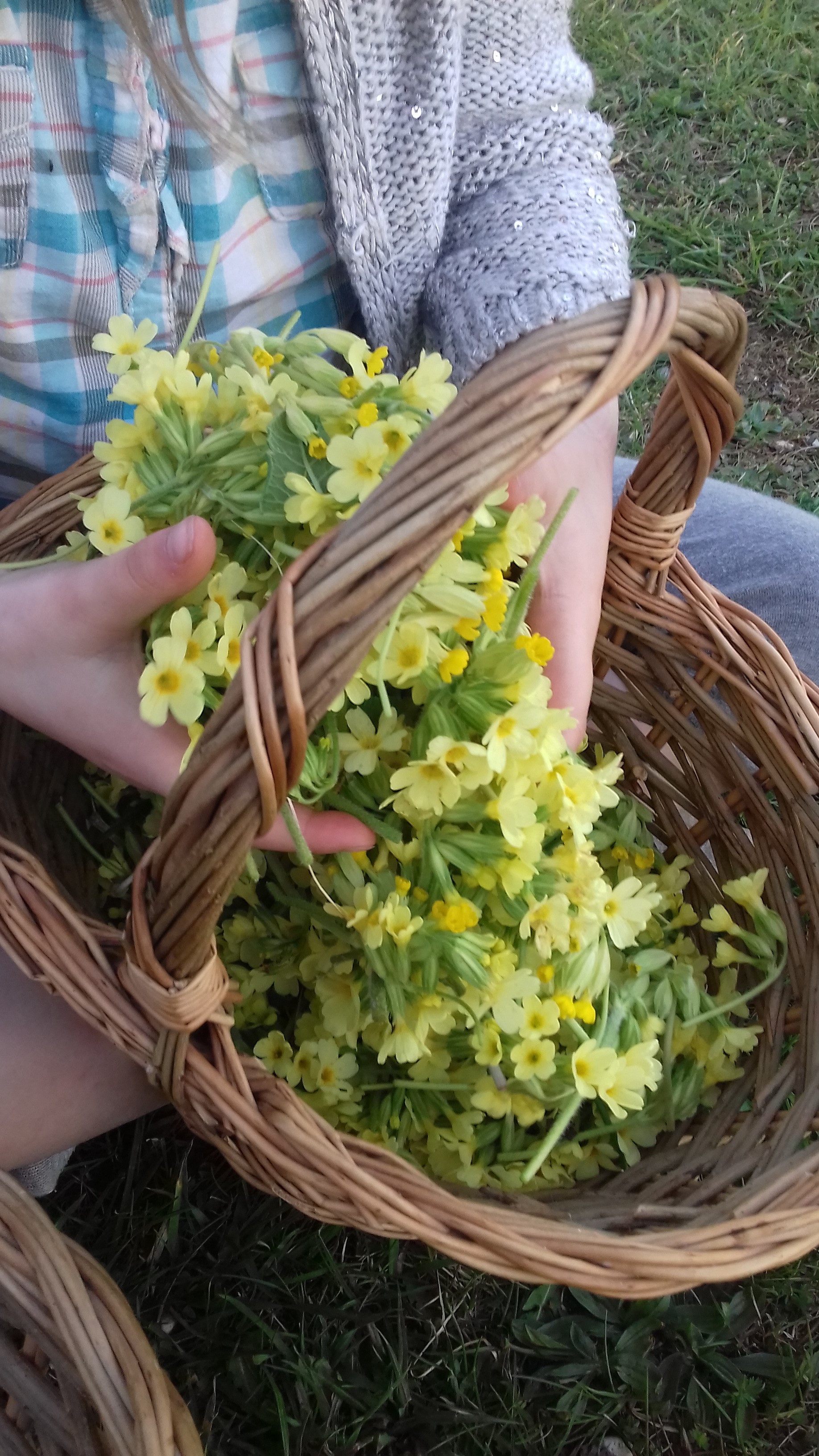 20170409 195304