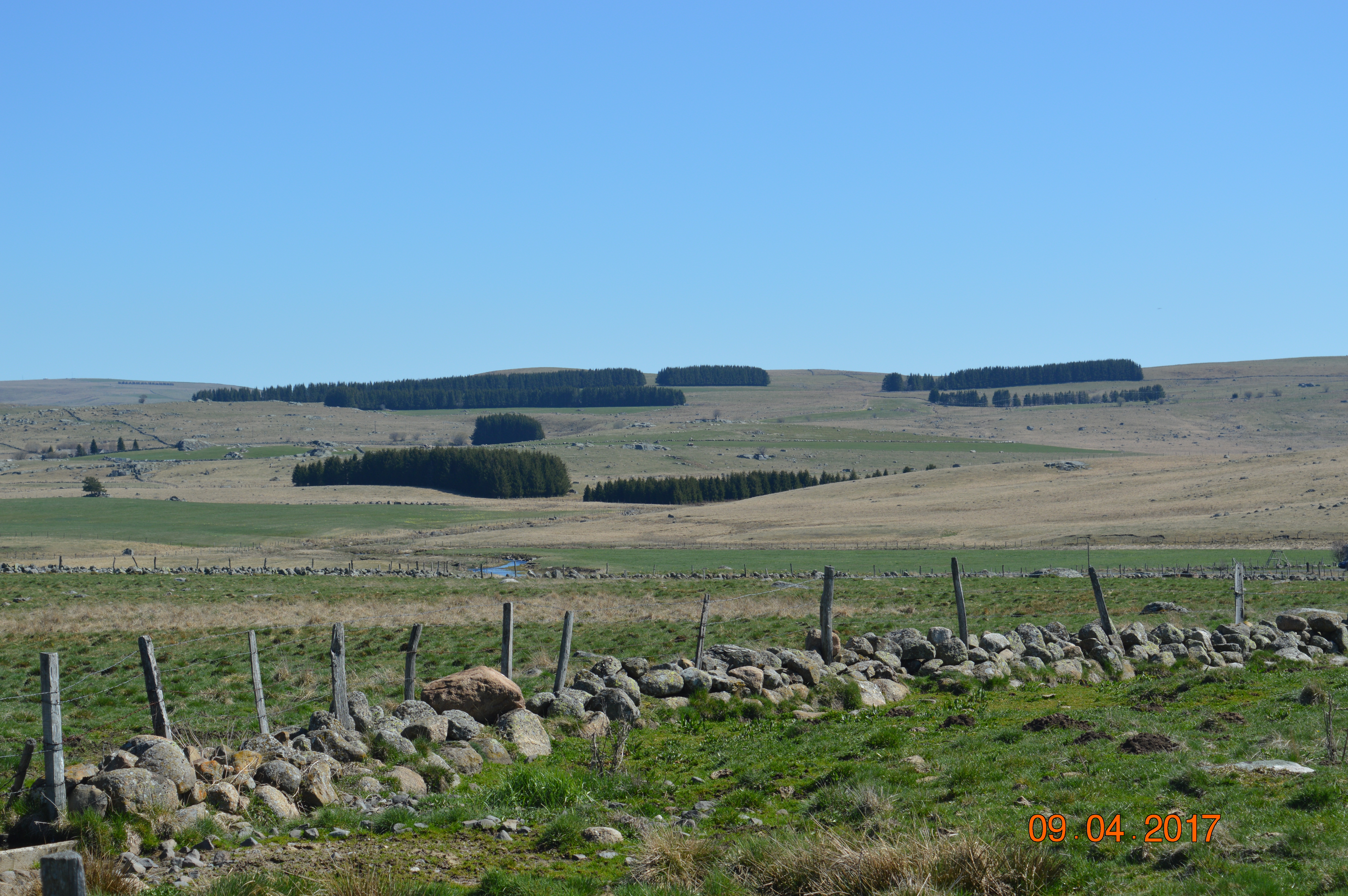 Dsc 0088