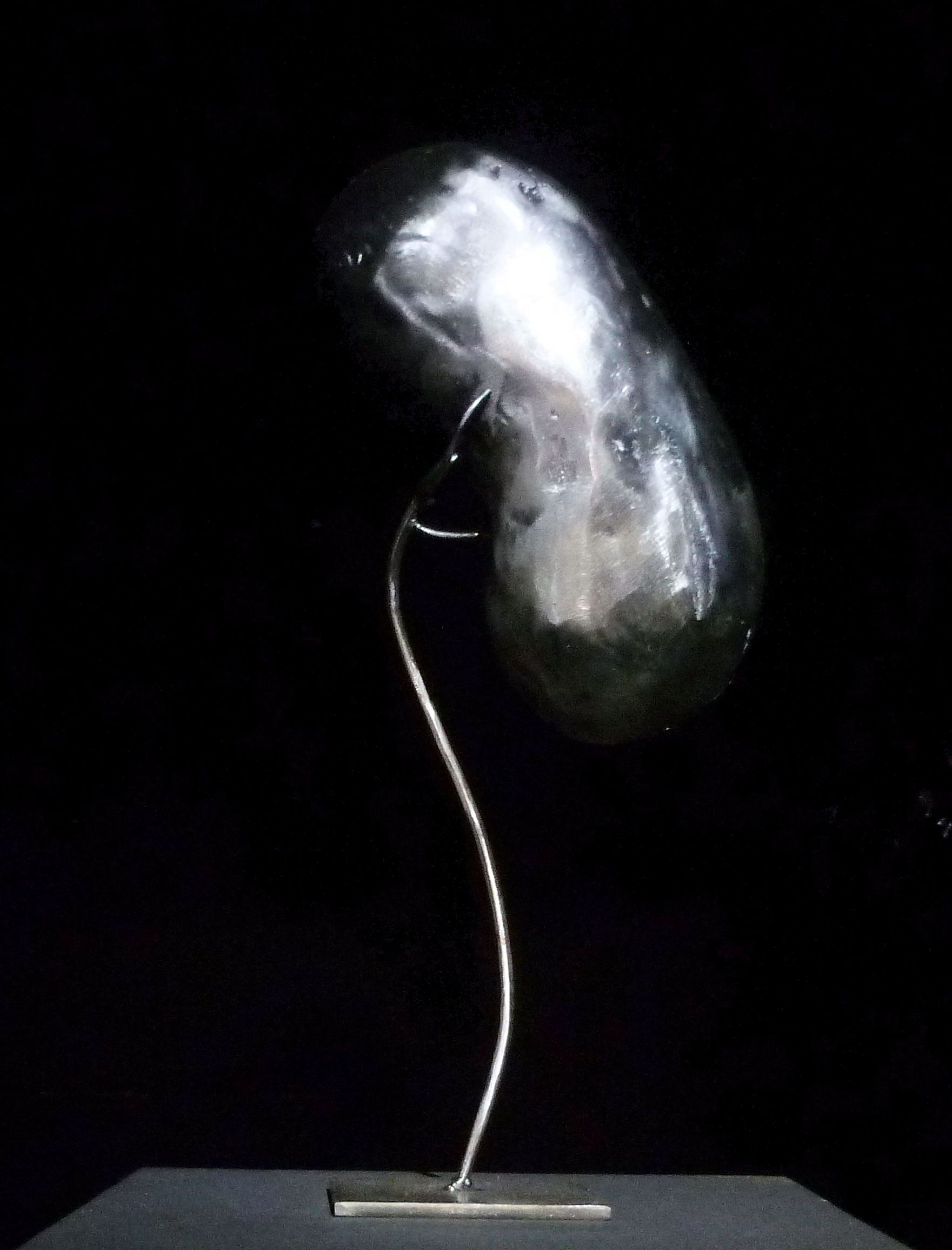 Pulmonem, 2017
Collection privée
Métal