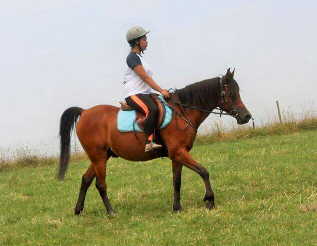 Arnelle Ali Aziz
(Saroual x Arnelle Anne Lou)
2001

