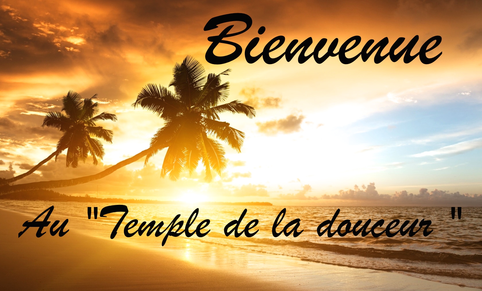 Dfjyd 20140831234300 0f8962c0 copie 2