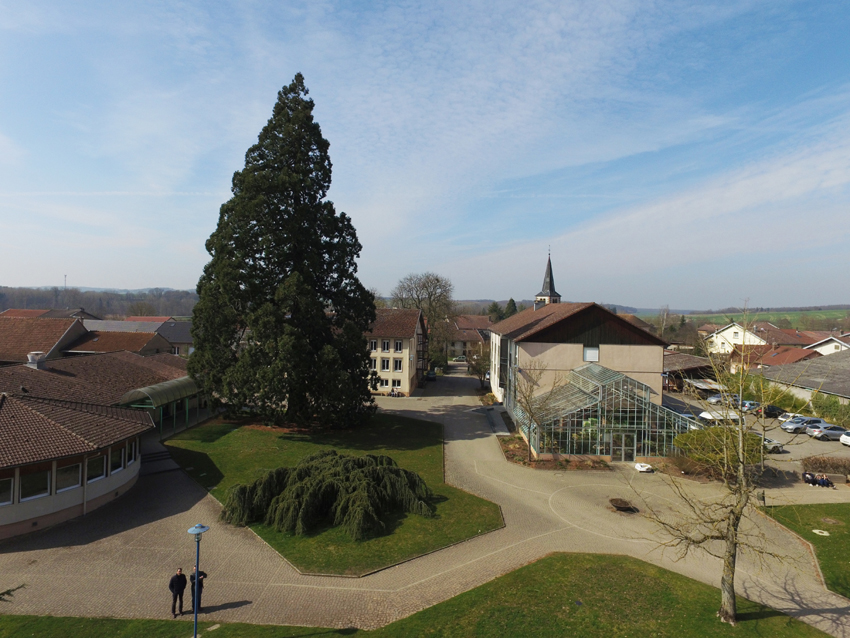 Internat 1 drone 