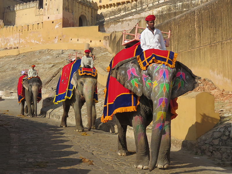 Location de voiture avec chauffeur bharat kumar tour www chauffeurinde in