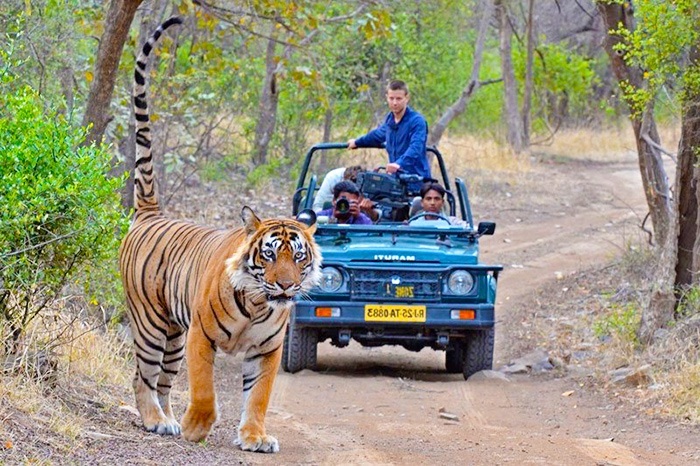 Car with driver in india www driverindia net