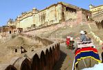 Amber fort with car with driver in india www driverindia net