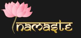 Namaste chauffeur en inde www chauffeurinde in