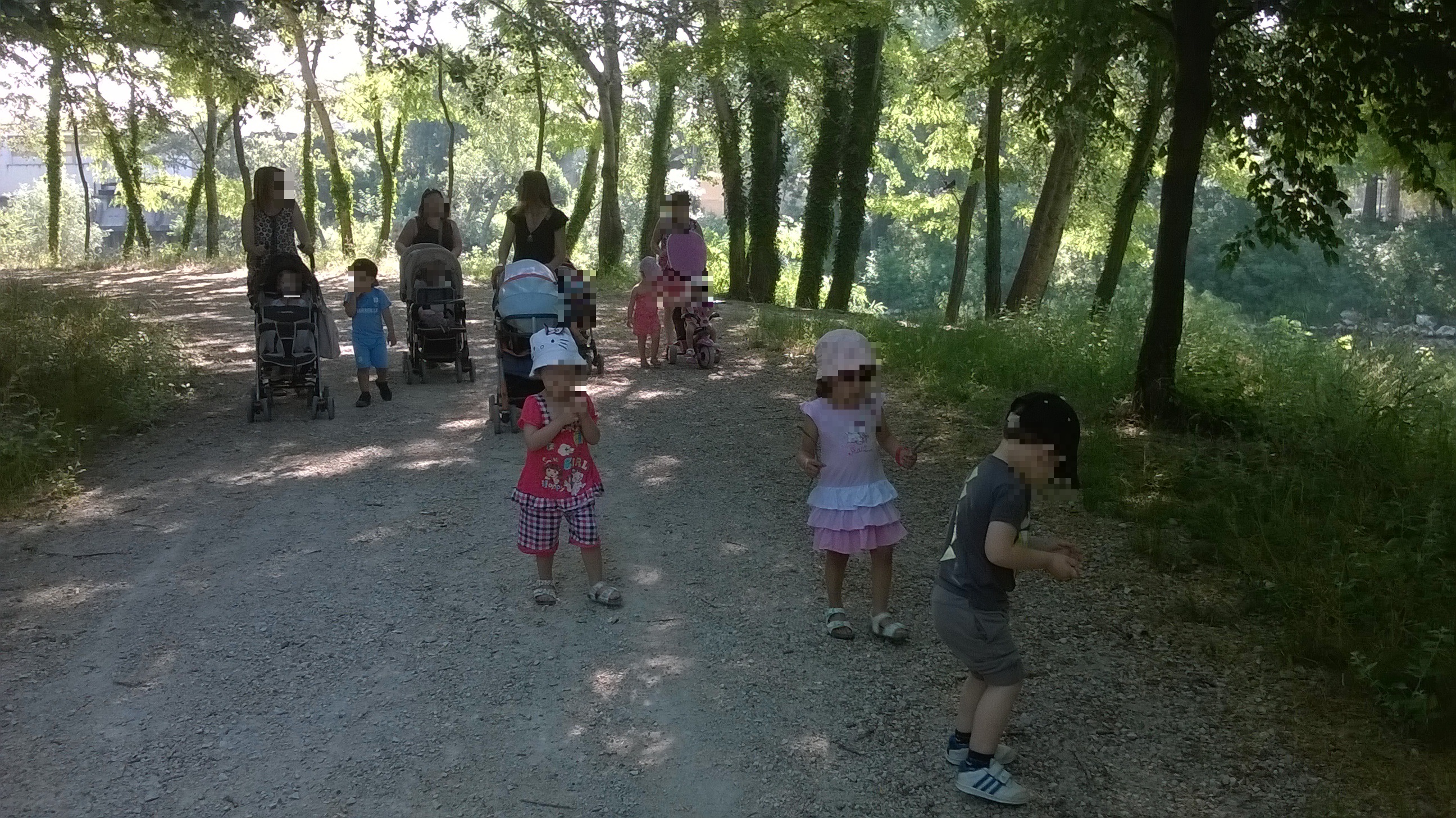WP 20150604 015