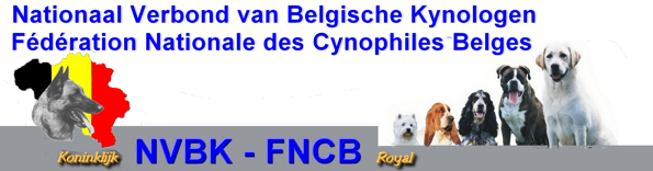 Nvbkfncb