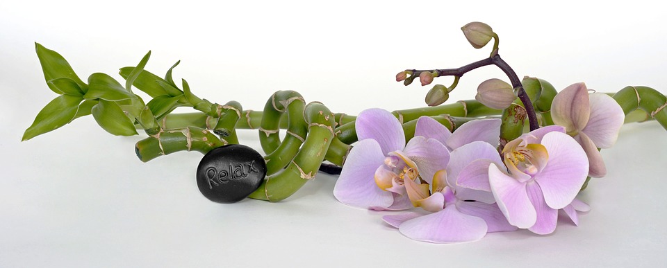 Orchid 2115260 960 720