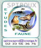 2 bureauEtudes