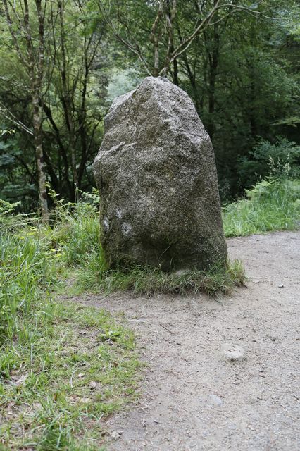 4 2 