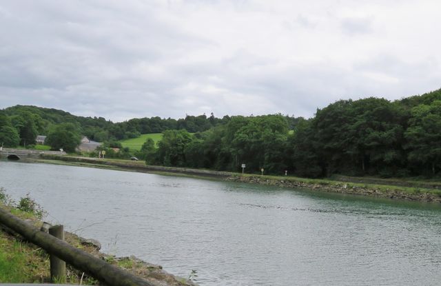29aber 6 