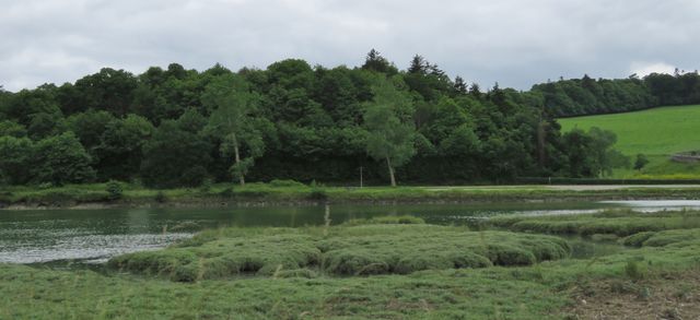 29aber 9 