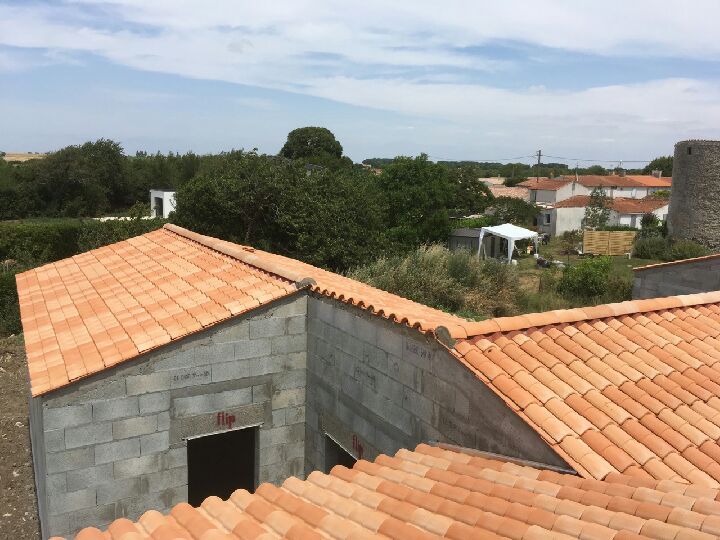 Img 1381