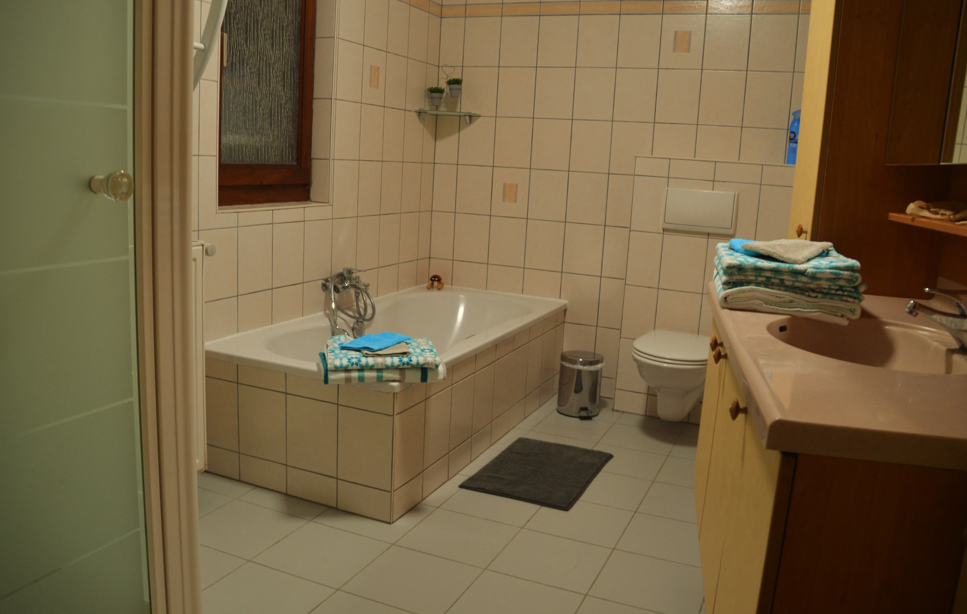 DSC 0015 Copie