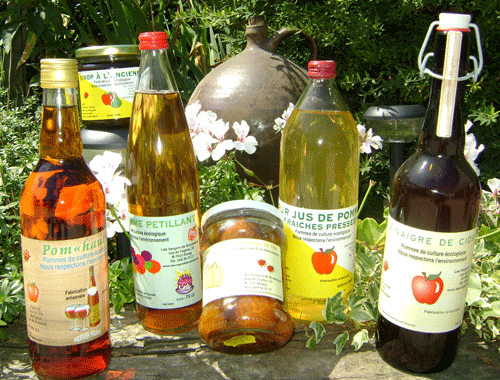 Les jus de pommes de Brunehaut