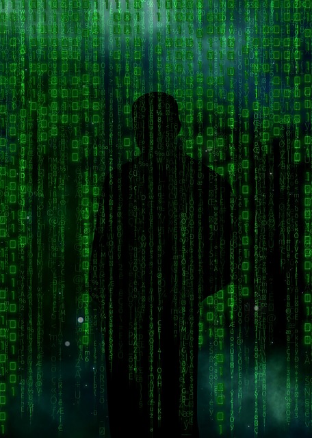 Cyber Fraude