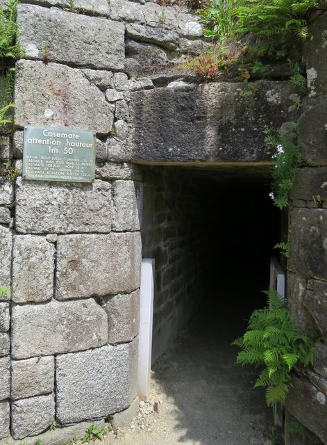 29kerje 5 
