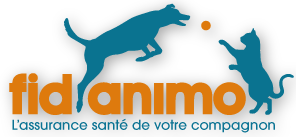 Fidanimo logo