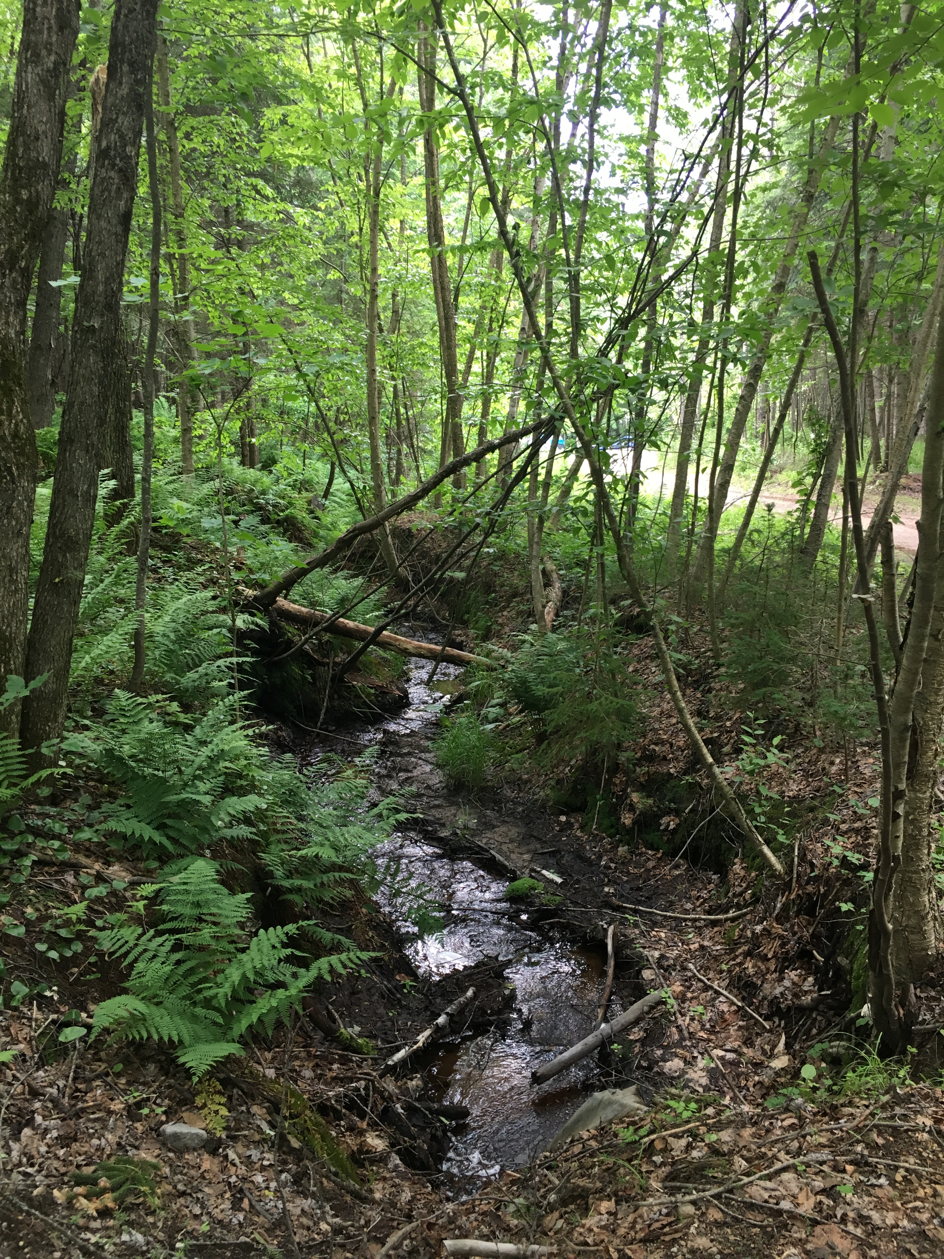 Image3 7 