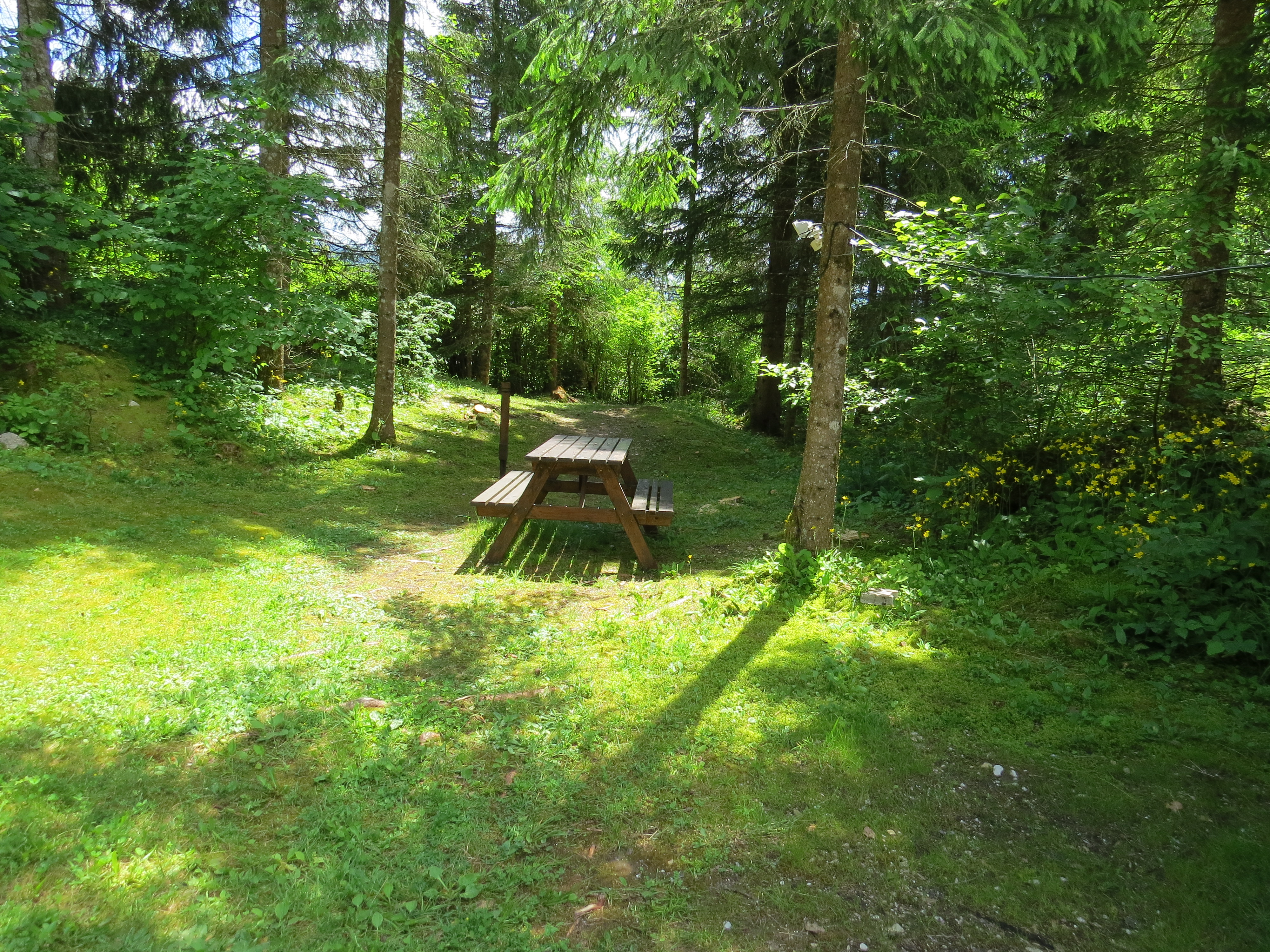 Chalet juin 2016 4