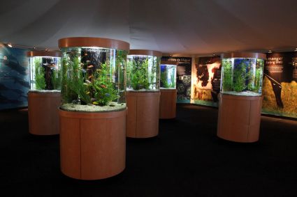 Pavilion algae display 005