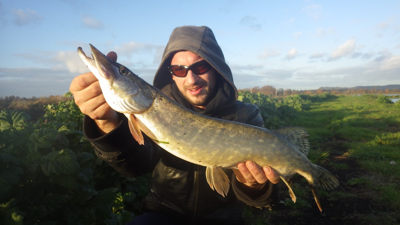 Carpe3